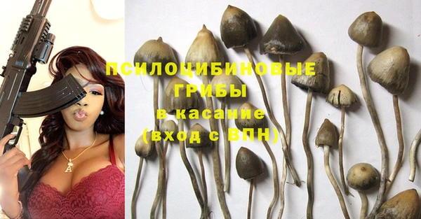 прущие крисы Белоозёрский
