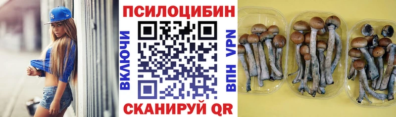 купить наркотики цена  Ижевск  Псилоцибиновые грибы Magic Shrooms 